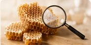 Bienenwaben mit Lupe